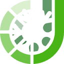 JeetCity Casino logo