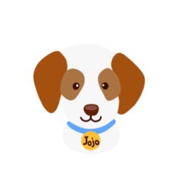 JoJo