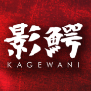官方网站
