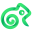 Kameleo icon