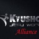 Icon for kyushojitsuworld.com