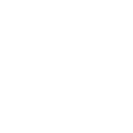 Lares Consulting logo
