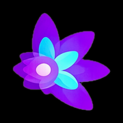Learn the Learner logo