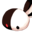 官方网站