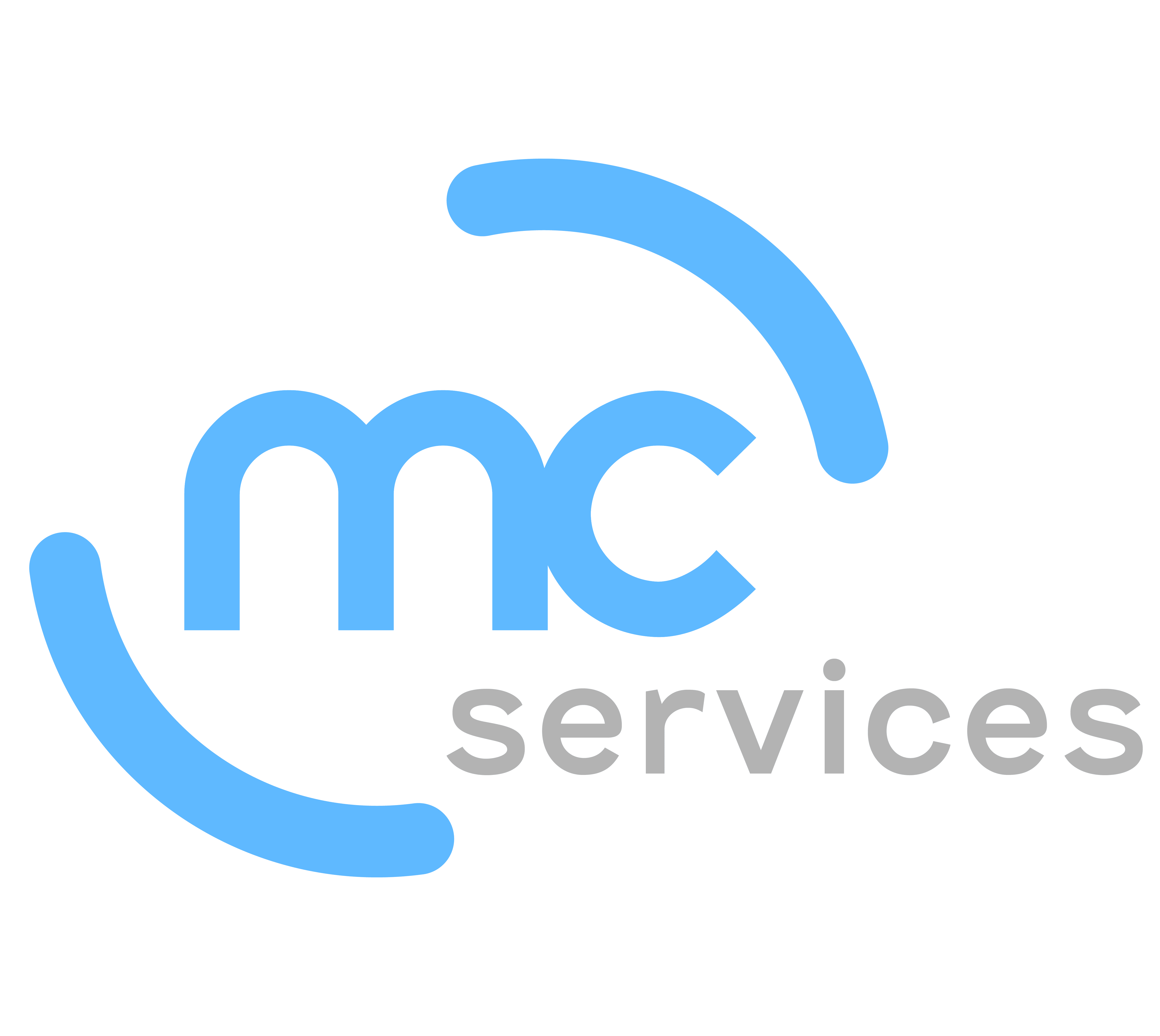 Icon for mcservices.com