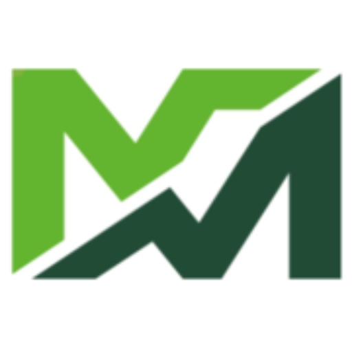 Icon for merlo.com