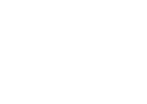 Icon for mgstlllc.com