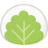 Mochi icon