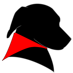 NameChanger icon