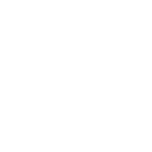 MSI Credit Solutions logo