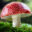 Icon for mushroomdispensaryflorida.com