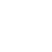 Natalia Hunter Realty logo