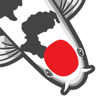 Icon for nextdaykoi.com