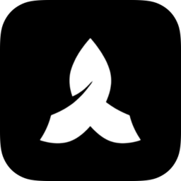 Palix AI logo