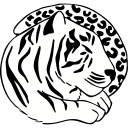 Pext icon