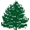 Pine Credit Union