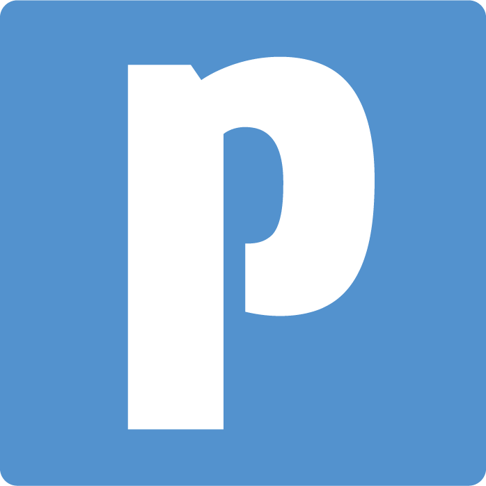 Icon for pipl.com