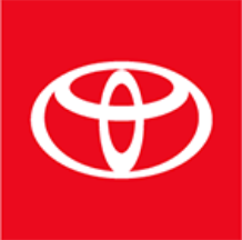 Icon for privacy.toyota.com