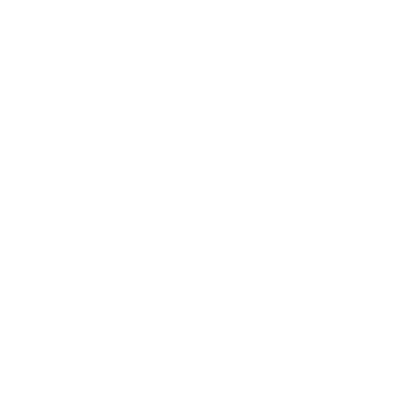 Icon for radon-bikes.de