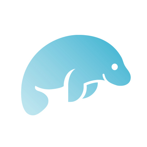 Robo 3T icon