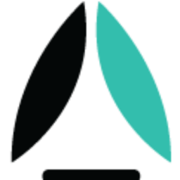 SaltyCustoms logo