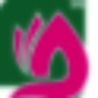 Domain