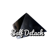 selfdetach.com Website Favicon