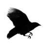 Icon for softwarecrisis.baldurbjarnason.com