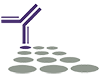 SouthernBiotech – Company Insights & Financial Strength – 2026