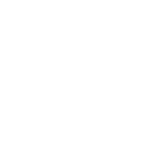 Stridist favicon
