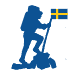 Icon for swedishnomad.com