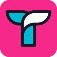 Icon for tettra.com