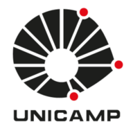 Jornal da Unicamp Article favicon