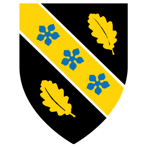 Icon for uwtsd.ac.uk