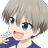 官方网站