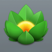 Versions icon