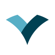 vIDix LABOR logo