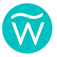 Icon for wavedds.com