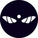 Icon for wifly.net