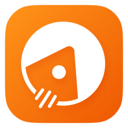 Apipost icon
