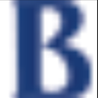 Icon for www.baruch.cuny.edu