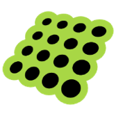 iSubtitle icon