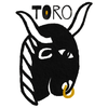 Icon for www.destinytoro.com