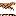 Free Pascal Compiler icon