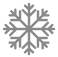 Freeze icon