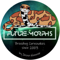 www.future-morphs.com Website Favicon