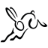 GraalVM Java Development Kit icon