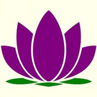官方网站