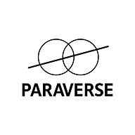 www.paraverse.world Website Favicon
