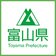 官方网站
